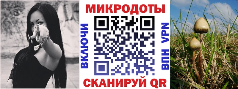 Купить закладки  Балаково  Галлюциногенные грибы MAGIC MUSHROOMS 